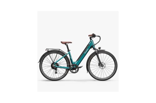 FIIDO E-BIKE C11 PRO