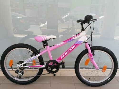 IDEAL CONDOR