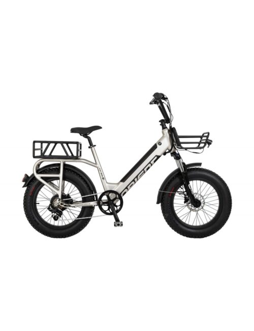 ORIENT E BIKE FAT BOY 20”
